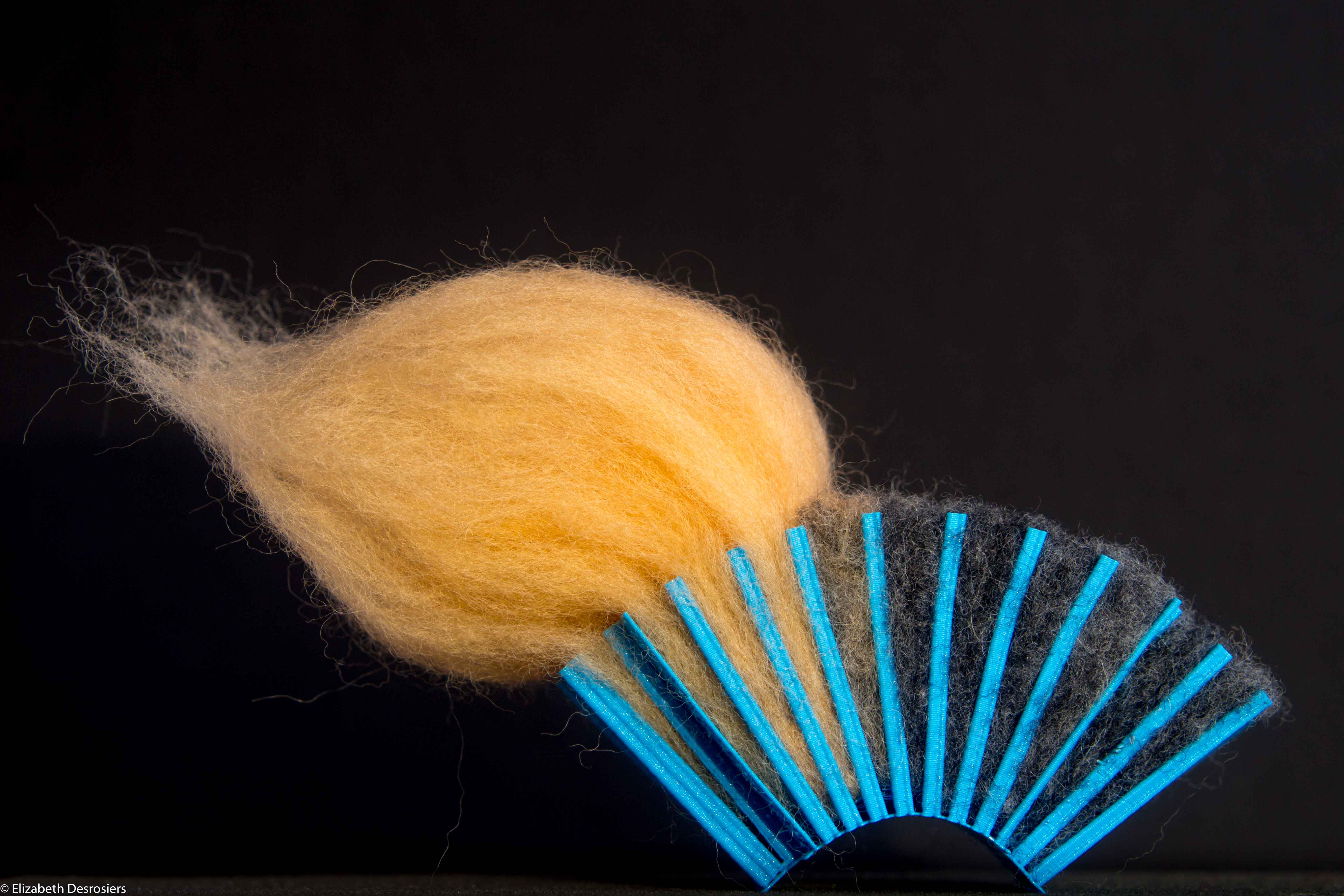 2017-Desrosiers-Transitions